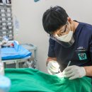 세심한치과기공소 이미지
