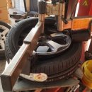 신월동175 이미지