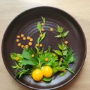 마음소풍 이미지