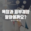 호인메디칼 이미지