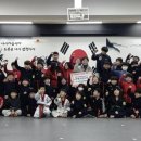 코리아 태비 태권도 이미지