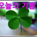 오늘의기쁨 이미지