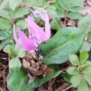 연인산풍경 이미지