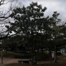 노형제1근린공원 이미지