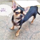 계산시장화장품