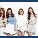 시크릿 카카오 검색결과
