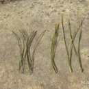 해송2로 이미지