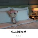 인피니티바이오 | 시그니엘 부산 오션뷰 호캉스 제대로 즐기는 법 객실,수영장,조식 핵심 후기