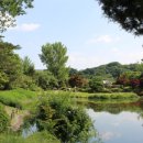 호반농원 산정호수 이미지