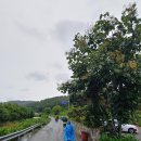 운림산방안내소 이미지