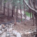 황령산 편백단지 이미지