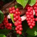 복흥농장 이미지