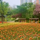 구월근린공원 이미지