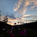 청평역 앞 이미지