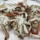 김외근농장 | 4월구라