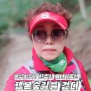 공립알록달록 이미지