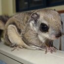 다람쥐모텔 이미지