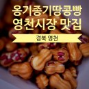 영천장날 | (경북 영천) 영천시장 맛집/ 영천에서 제일 맛있는 땅콩빵 맛집/ 옹기종기 땅콩빵 영천점