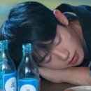 귀여워 강아지 이미지