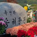 달성밴드 이미지