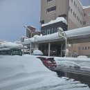 주마등한정식 | "친구들과 함께한 일본 아오모리 겨울여행후기 "