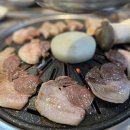 꽃돼지갈매기 네이버블로그