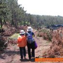 말미목장 이미지