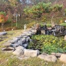 퇴계현대2차 | [가을팸투어초대] 퇴계 귀향길 체험연수_여주,충주,제천,풍기,안동_11,29(토)~30(일)_1박2일