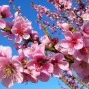 삼창산업 이미지
