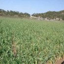 안덕면행정복지센터 이미지