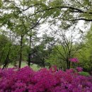 숲속마을 이미지