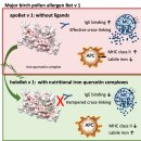 음식 알레르기 탐구 Nature review immunology 논문 이미지