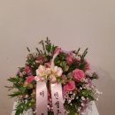 은하수꽃집