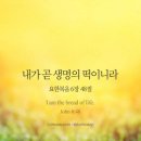 성경그릇 이미지