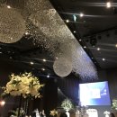 강서구-57 | [강서 발산 웨딩홀] 더뉴컨벤션웨딩 더뉴홀 하객후기