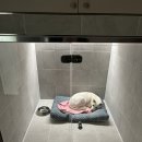 안녕 똑독아 이미지