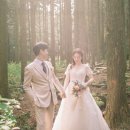 더심플원