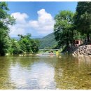 남천1리 솔밭공원 이미지