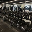 Flex Gym 네이버블로그