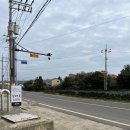 빌레못 제주 애월 카페, 정원이 있는 수플레 맛집 - <b>빌레못</b>