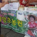 놀숲농원 이미지