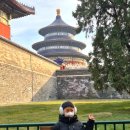 기린유치원 | 12월 3박 4일 :: 아이랑 홍투어 천단공원, 왕징 홀리랜드 수건케이크 후기, 왕징 소호, 기린사 우마트 쇼핑