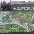 신기주유소 공중화장실 | 전북 순창 용궐산 하늘길~용궐산(646 m) ~ 요강바위~용궐산치유의숲 주차장으로 원점 산행합니다.