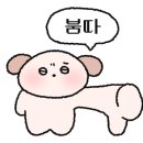 샤브막심(들안길점) 네이버블로그