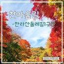 한라산둘레길 천아숲길 | 제주 한라산 둘레길 1구간 천아숲길 탐방로 주차정보 천아계곡 단풍후기