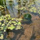 다우리농장 이미지