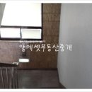 [강남 신사동 가로수길 인근 도산대로에 위치한 논현동 사무실 임대] 전용(실)181.8㎡(55평)/"실사진첨부"/신사역 사무실 임대/가로수길 사무실 임대 이미지