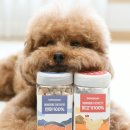 지연이네 강아지 고양이 수제간식 | 고양이 강아지 동결건조 간식 베베페페 데이트릿 급여 방법