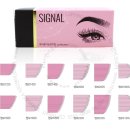 티티엔비코리아 이미지