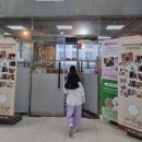 카페몽몽 | 김포 아이와 가볼만한곳 실내, 실외 애견 카페 &#34;카페몽몽&#34; 내돈내산 후기